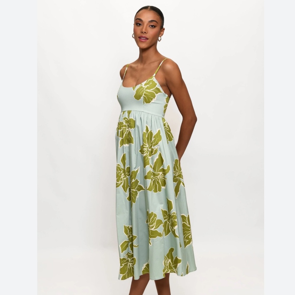 NWT Hutch Midi Dress